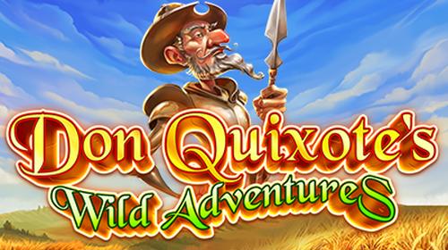 Don Quixote's Wild Adventures