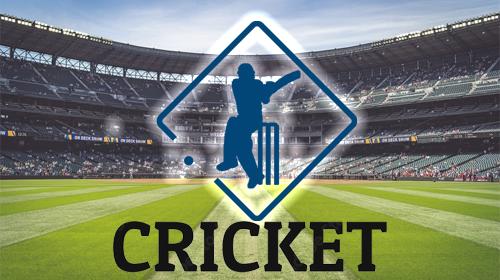 virtual cricket